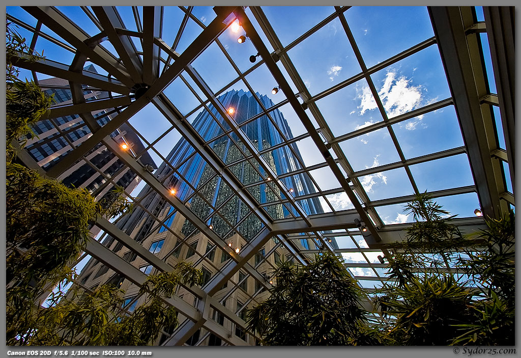 IMAGE: http://sydor25.com/Pictures/Boston_4_21_05-471.jpg