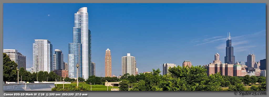 IMAGE: http://sydor25.com/Pictures/Chicago_7.19.11-0037_6x18.jpg