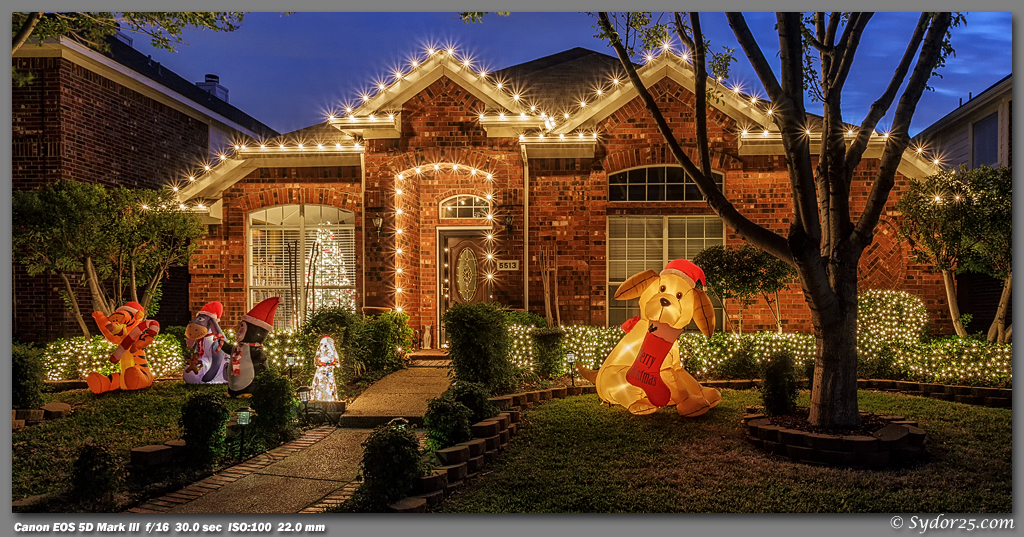 IMAGE: http://sydor25.com/Pictures/Christmas__11.22.12-062_10x20.jpg