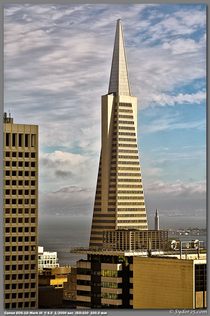 IMAGE: http://sydor25.com/Pictures/Downtown_Morning-0458.jpg