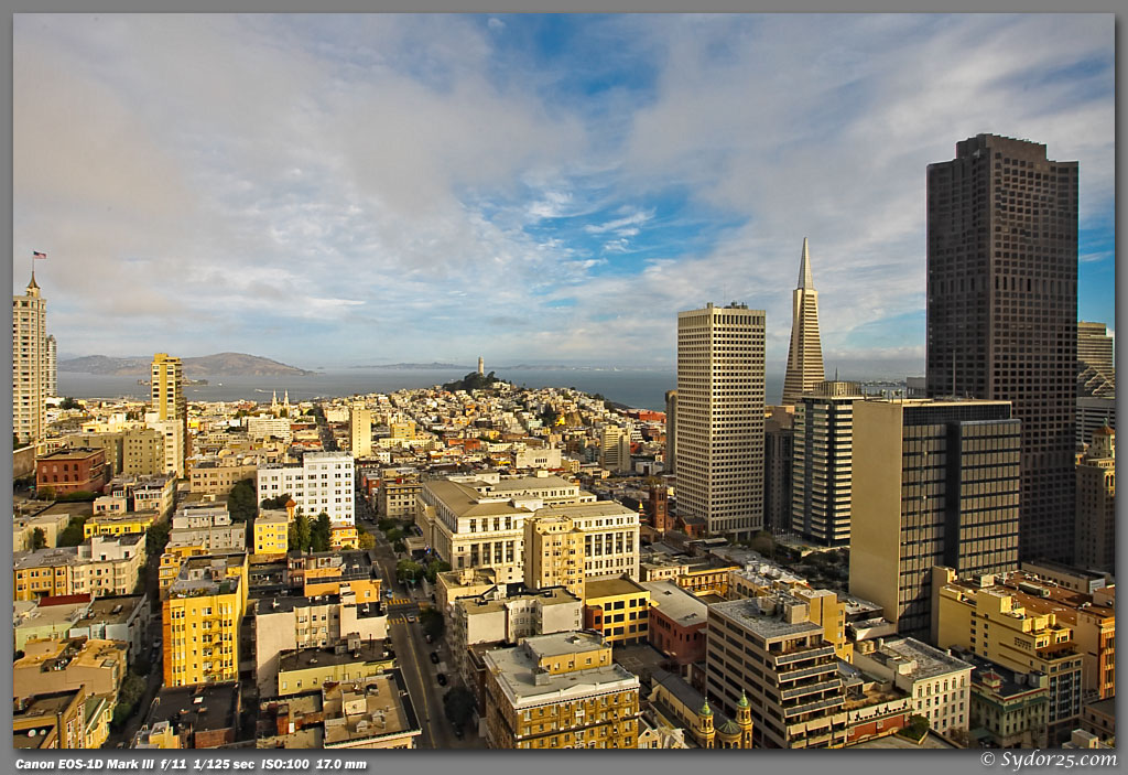 IMAGE: http://sydor25.com/Pictures/Downtown_Morning-0880.jpg