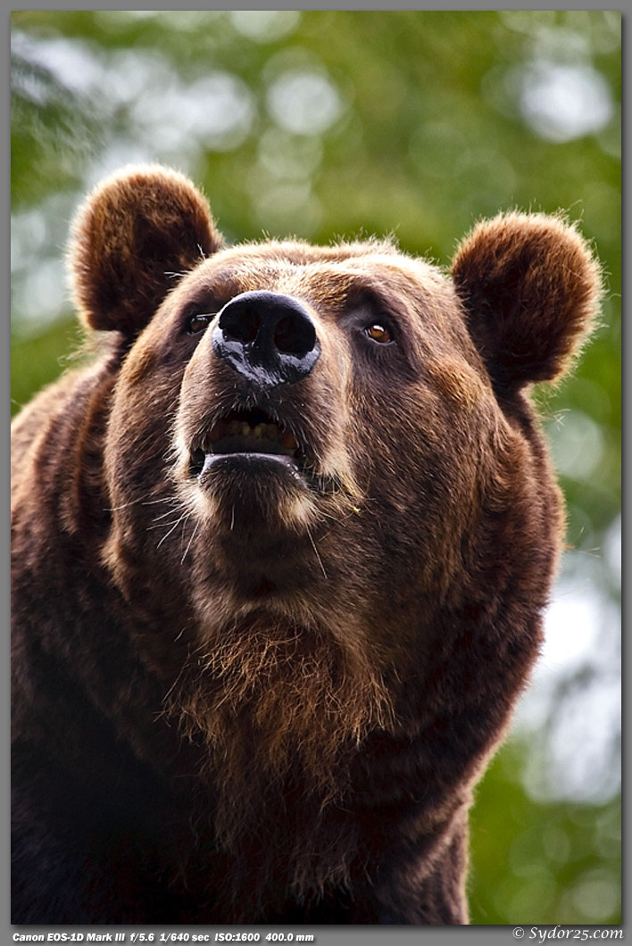 IMAGE: http://sydor25.com/Pictures/EPV0019.jpg