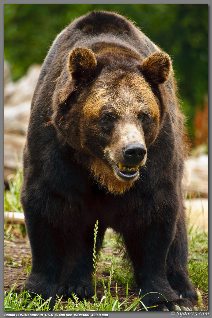 IMAGE: http://sydor25.com/Pictures/EPV0020.jpg