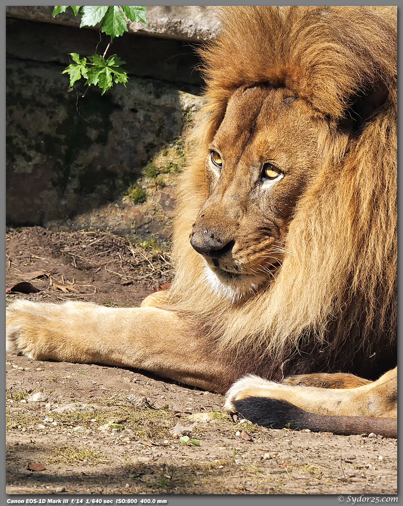 IMAGE: http://sydor25.com/Pictures/FWZ_04.07.12-194_8x10.jpg