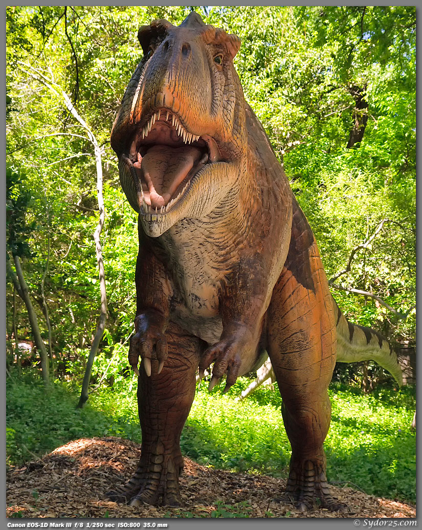 IMAGE: http://sydor25.com/Pictures/FW_Dinosaurs_4.12.11-115_8x10.jpg