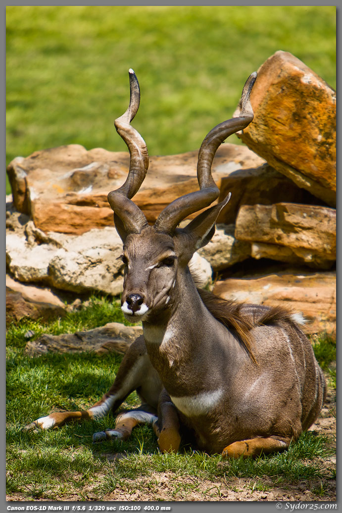 IMAGE: http://sydor25.com/Pictures/Fort_Worth_Zoo-309.jpg