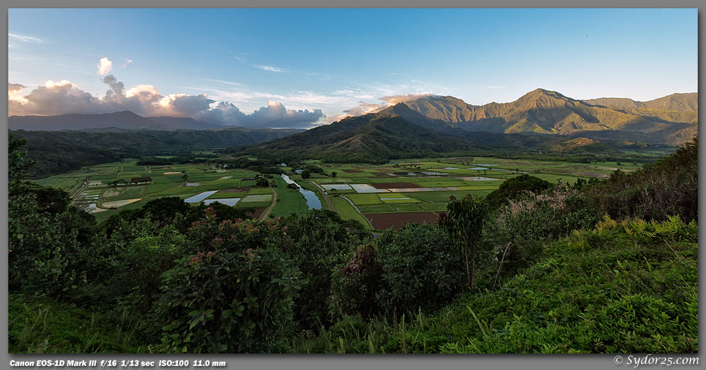 IMAGE: http://sydor25.com/Pictures/Kauai_5.14.09-0375_10x20.jpg
