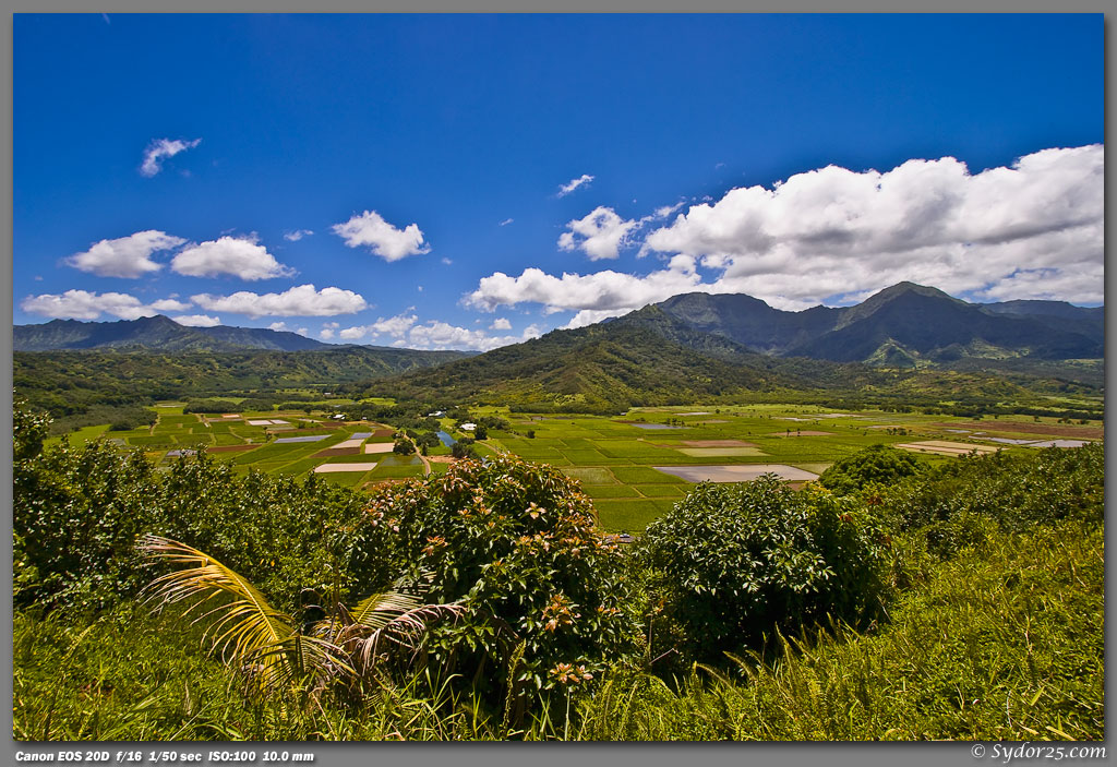 IMAGE: http://sydor25.com/Pictures/Kauai_8_16_05-148.jpg