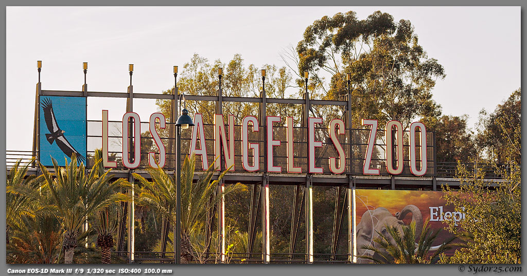 IMAGE: http://sydor25.com/Pictures/LAZ_Animals_2.22.12-674_10x20.jpg