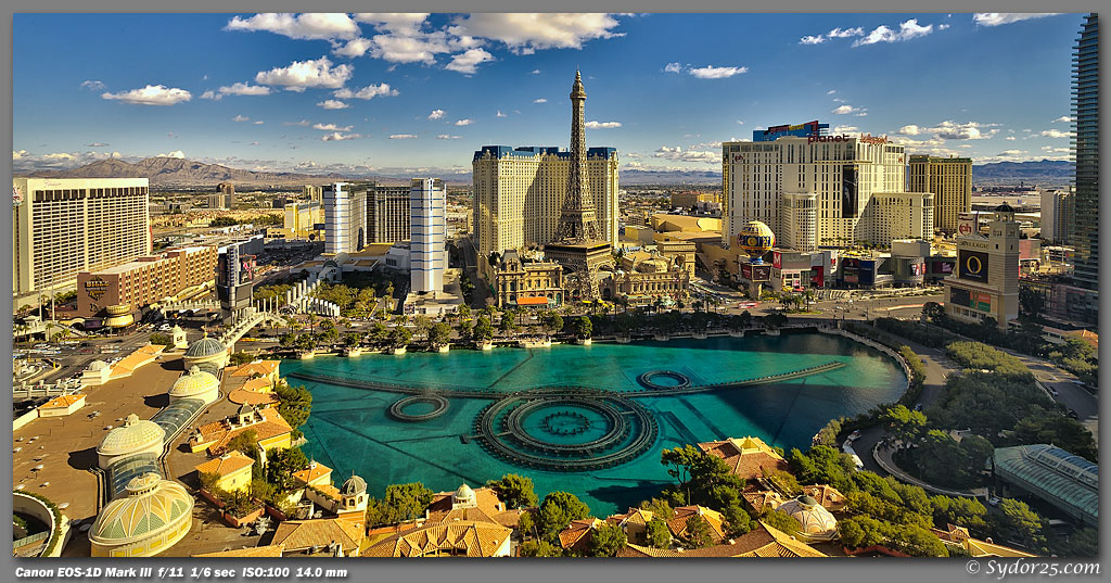 IMAGE: http://sydor25.com/Pictures/Las_Vegas_1.23.10-034_5_6_7_8_10x20.jpg