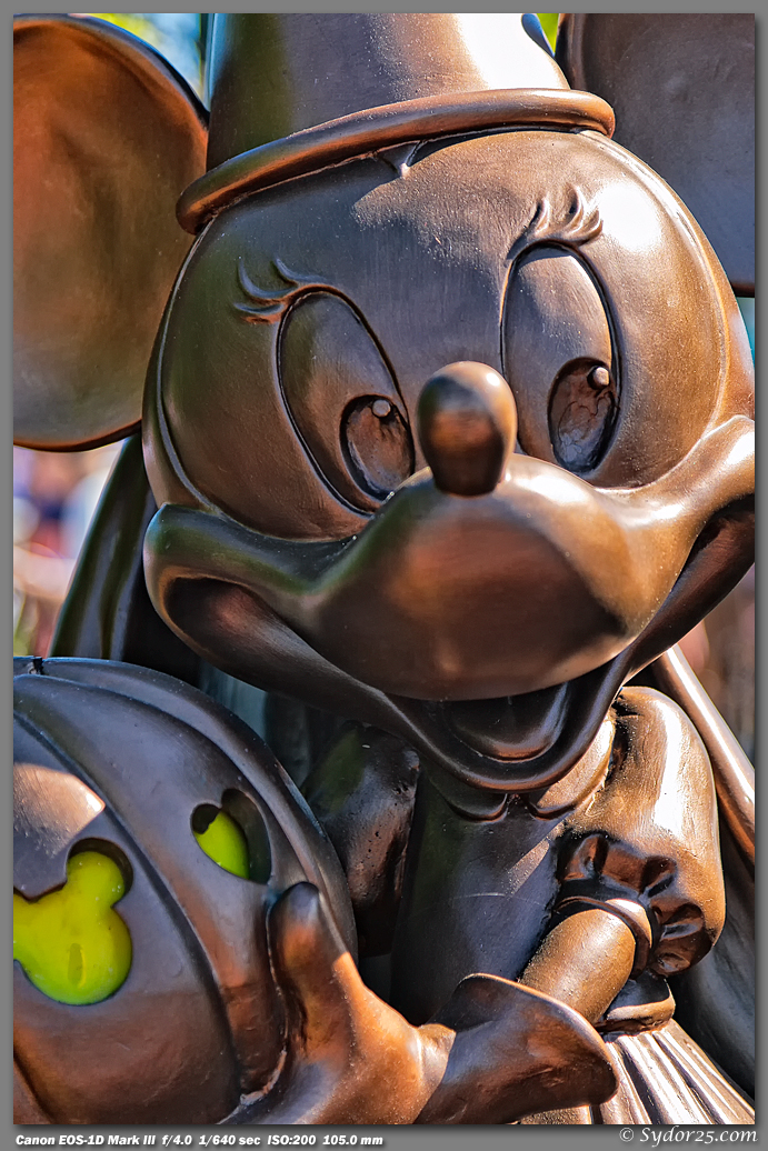 IMAGE: http://sydor25.com/Pictures/Orlando_10.03.11-0224.jpg