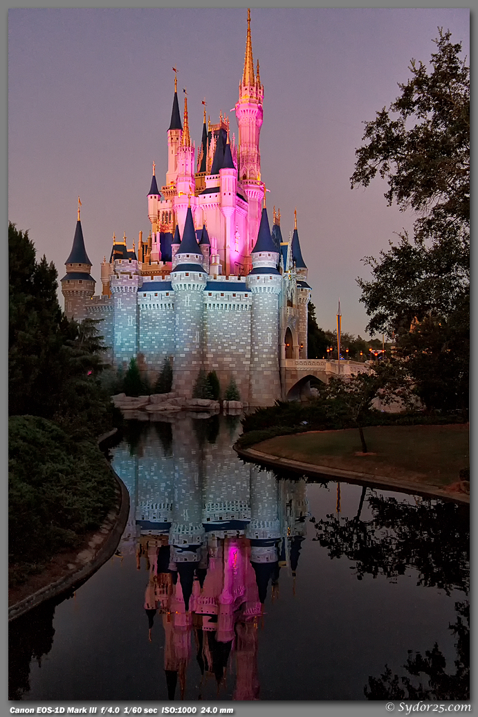 IMAGE: http://sydor25.com/Pictures/Orlando_10.03.11-1331.jpg