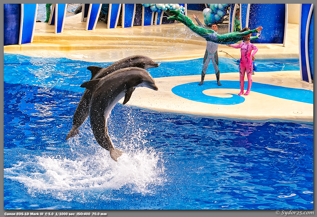 IMAGE: http://sydor25.com/Pictures/Orlando_10.05.11-0296_12x18.jpg