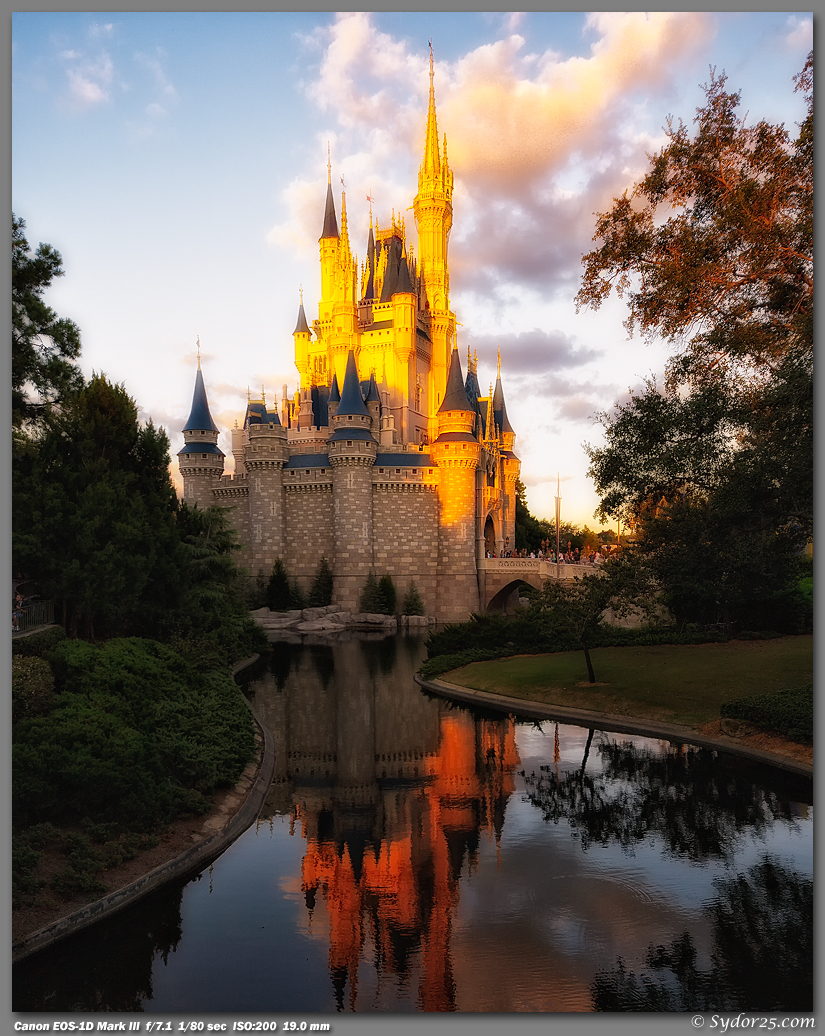 IMAGE: http://sydor25.com/Pictures/Orlando_10.05.11-2242_Dream_8x10.jpg