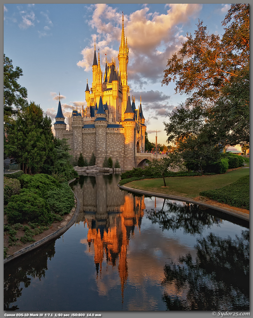 IMAGE: http://sydor25.com/Pictures/Orlando_10.05.11-2245_5_6_8x10.jpg