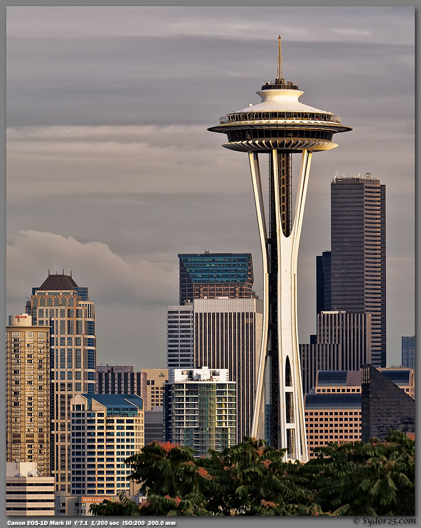 IMAGE: http://sydor25.com/Pictures/Seattle_Kerry_Park-0448_8x10.jpg
