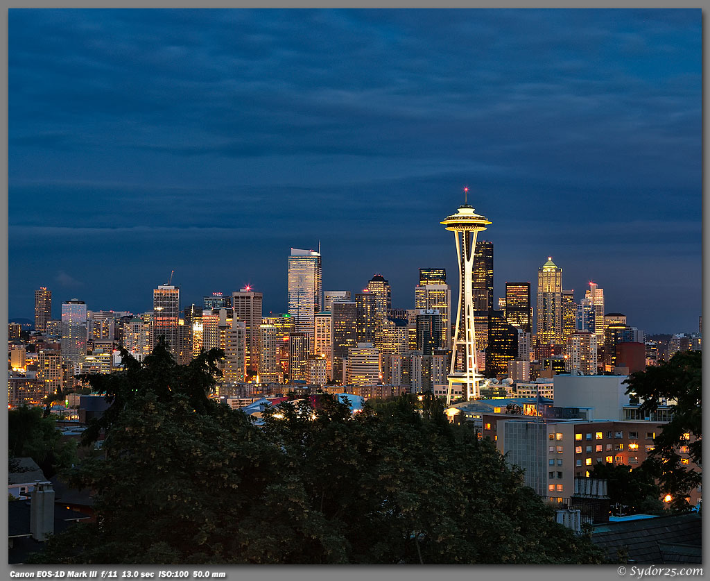 IMAGE: http://sydor25.com/Pictures/Seattle_Kerry_Park-0956_8x10.jpg