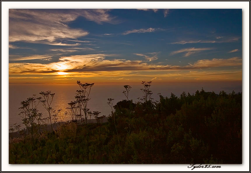 IMAGE: http://sydor25.com/Pictures/So_Cal_9.28.06-0750.jpg