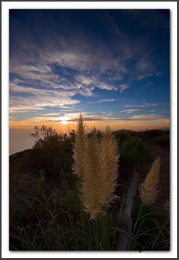 IMAGE: http://sydor25.com/Pictures/So_Cal_9.28.06-0787.jpg