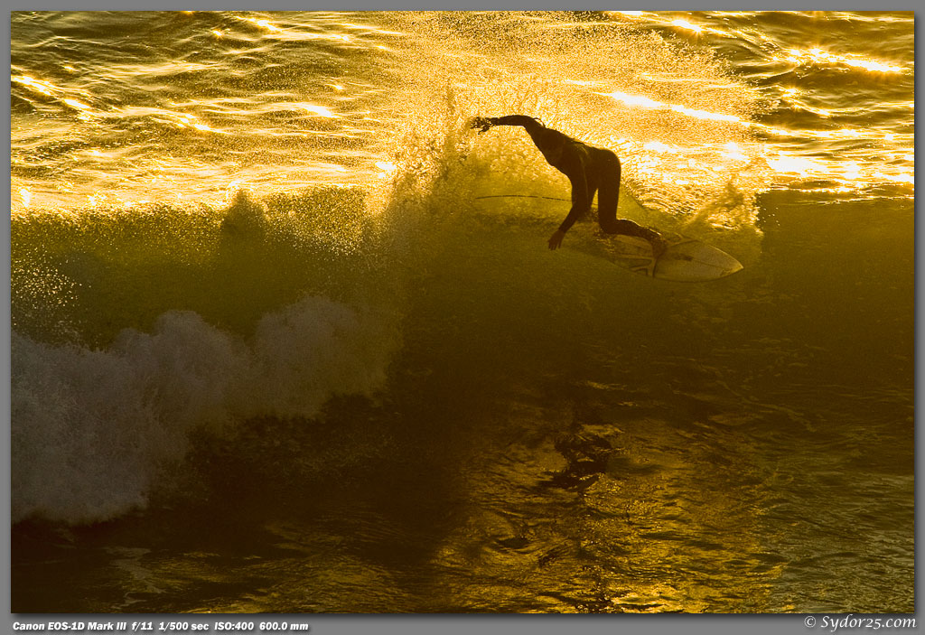 IMAGE: http://sydor25.com/Pictures/Surfing_08-017.jpg