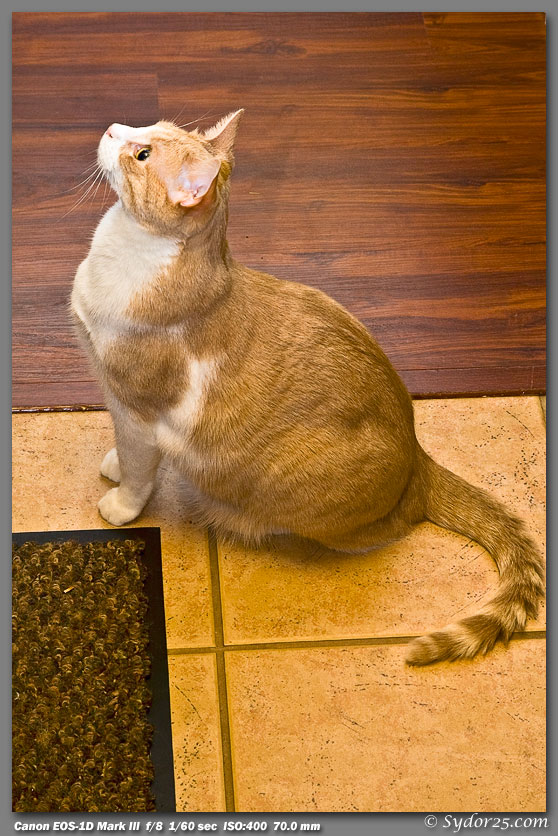 IMAGE: http://sydor25.com/Pictures/Test_Shots_0107.jpg