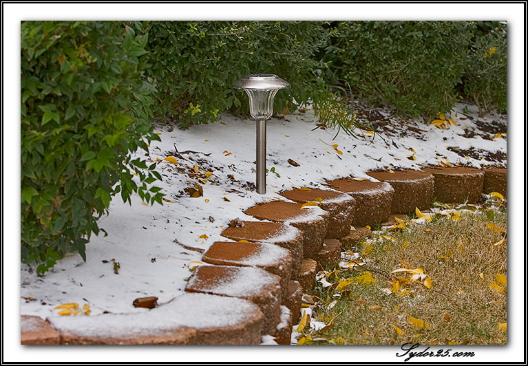 IMAGE: http://sydor25.com/Pictures/Texas_Snow_11.30.06-298.jpg